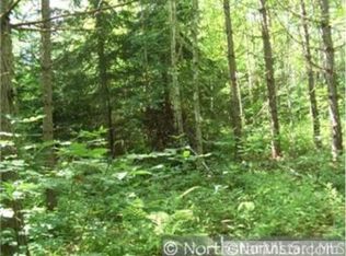 28909 S Pine View Beach Rd, Brook Park, MN 55007