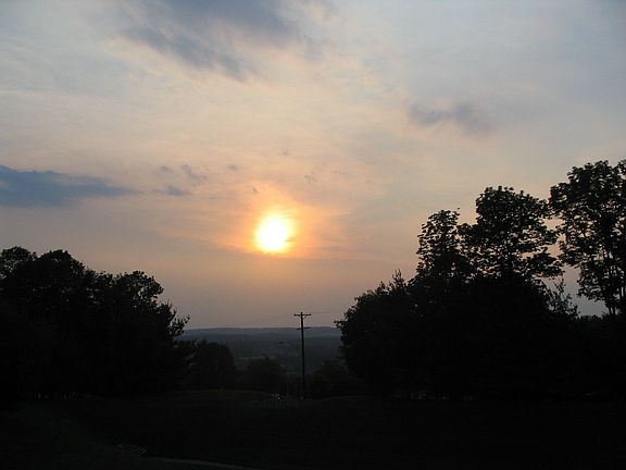 view