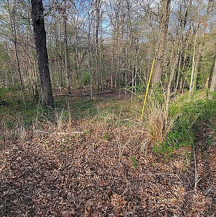 2nd image of 0 Nottingham Dr