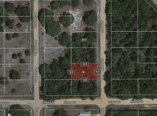 13 Janet Ave, Interlachen, FL 32148