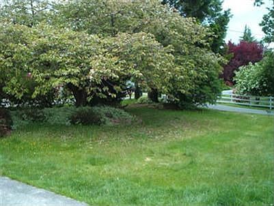 2nd image of 2211 117th Ave NE