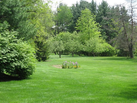 Back Yard from Deck