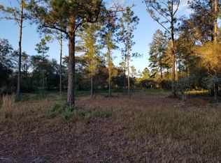 5519 Painted Pony Ave, Keystone Heights, FL 32656