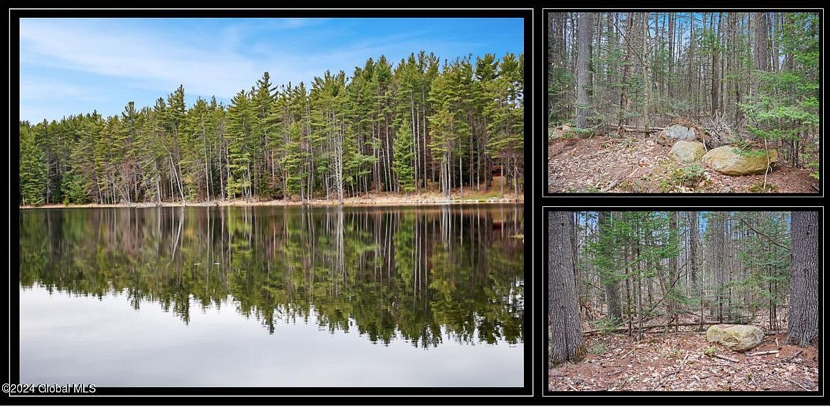 L29 Antler Lake Road, Wevertown, NY 12886 MLS 202413968 Zillow