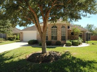 12439 Rutgers Park Ct, Houston, TX 77058