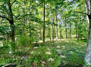 Robinson Ln, Kingston, TN 37763