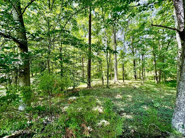 Robinson Ln, Kingston, TN 37763