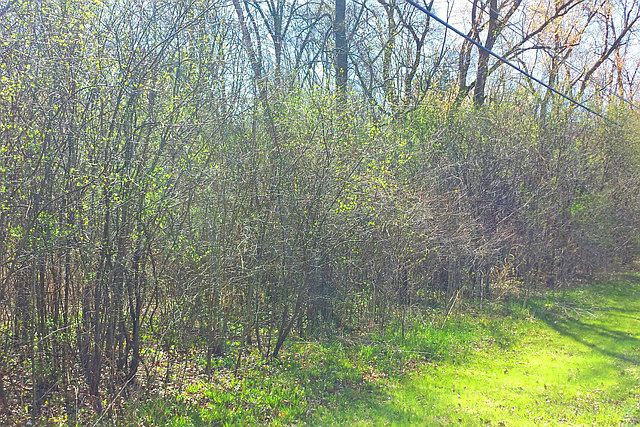 2nd image of 38631 N Lake Shore Dr