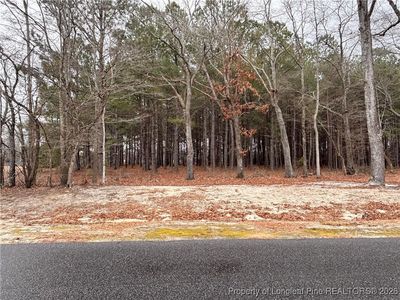 Shelton Beard Rd, Fayetteville, NC, 28312