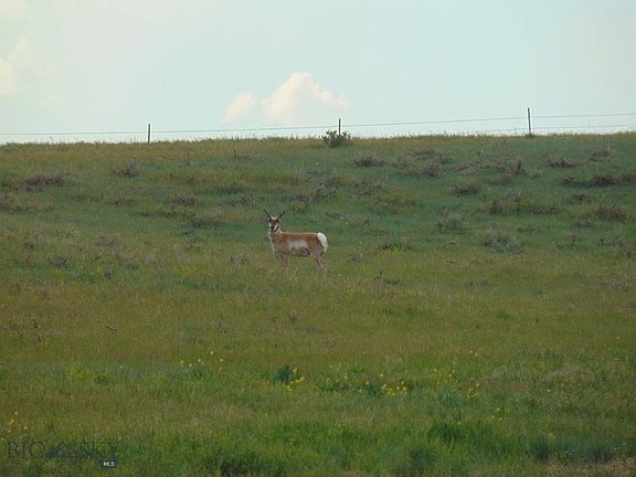 5th image of 80 Wilder Trl