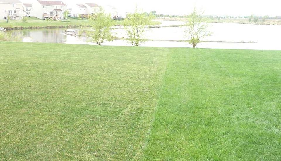 Backs To Pond
