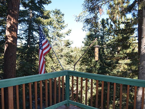 Treetop views
