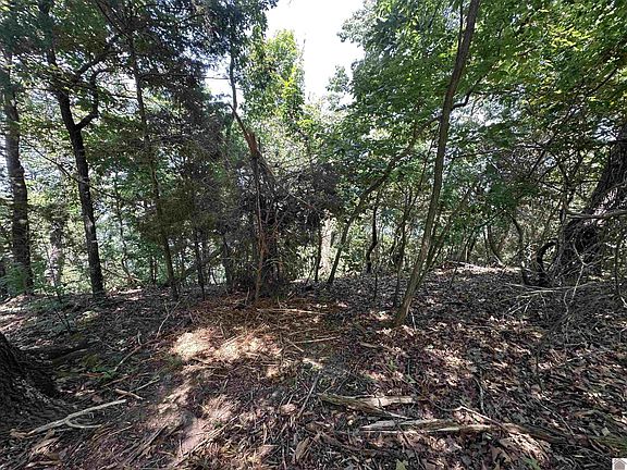 3rd image of 669 Cedar Point Rd