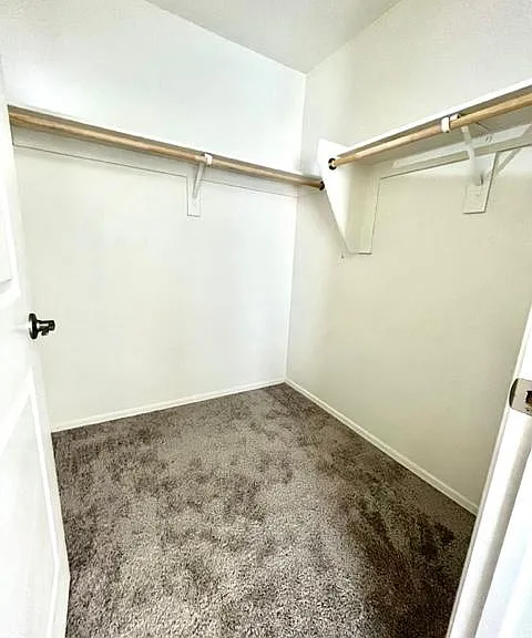 11010 S Silver Fern Dr — Photo 16
