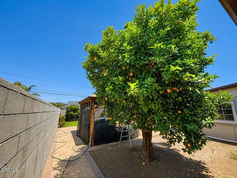 7330 Satsuma Ave — Photo 29