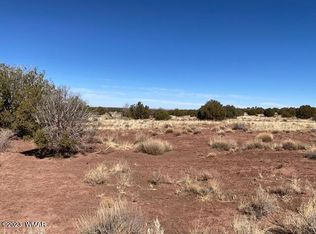 4427 Mountain View Rd, Snowflake, AZ 85937