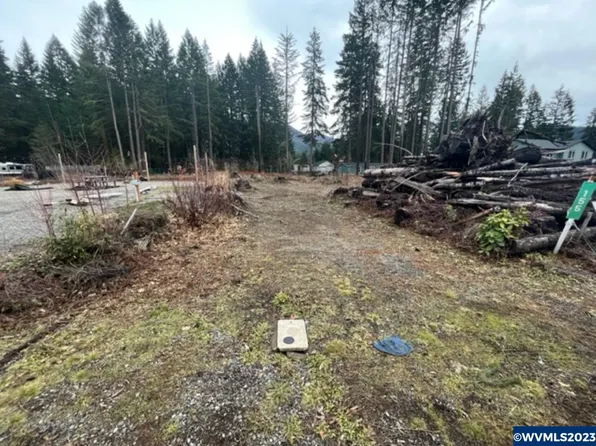 155 Santiam Ave W, Detroit, OR 97342