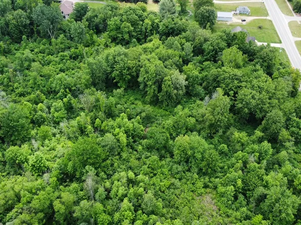 PARCEL 2 68th Ave, Allendale, MI 49401