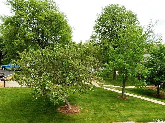 244 Carriage Ct — Photo 5