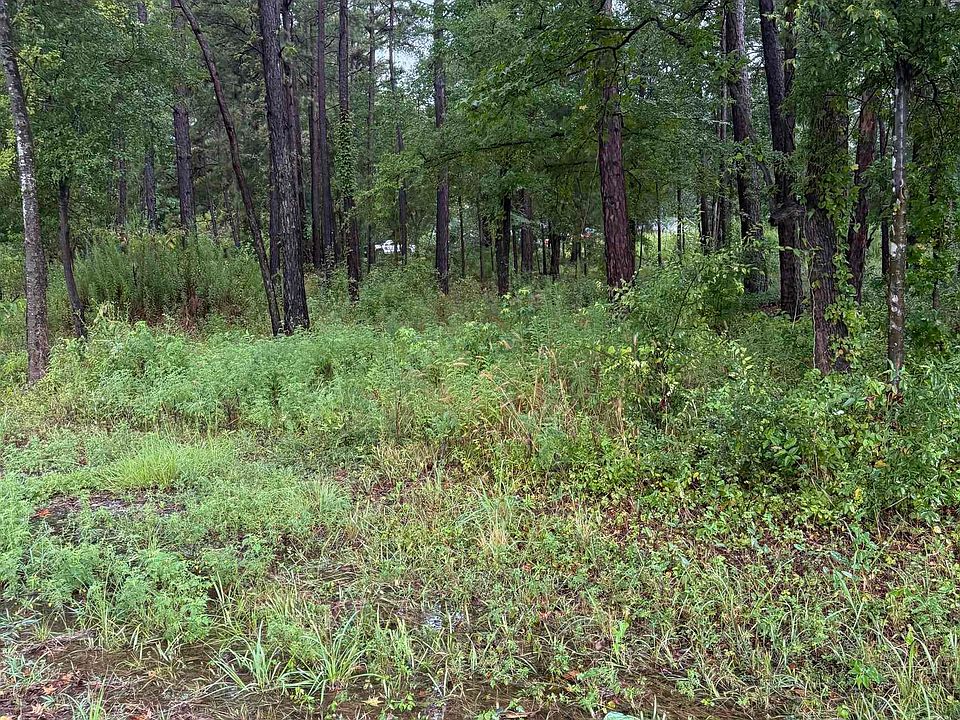 2nd image of 833 County Road 3639