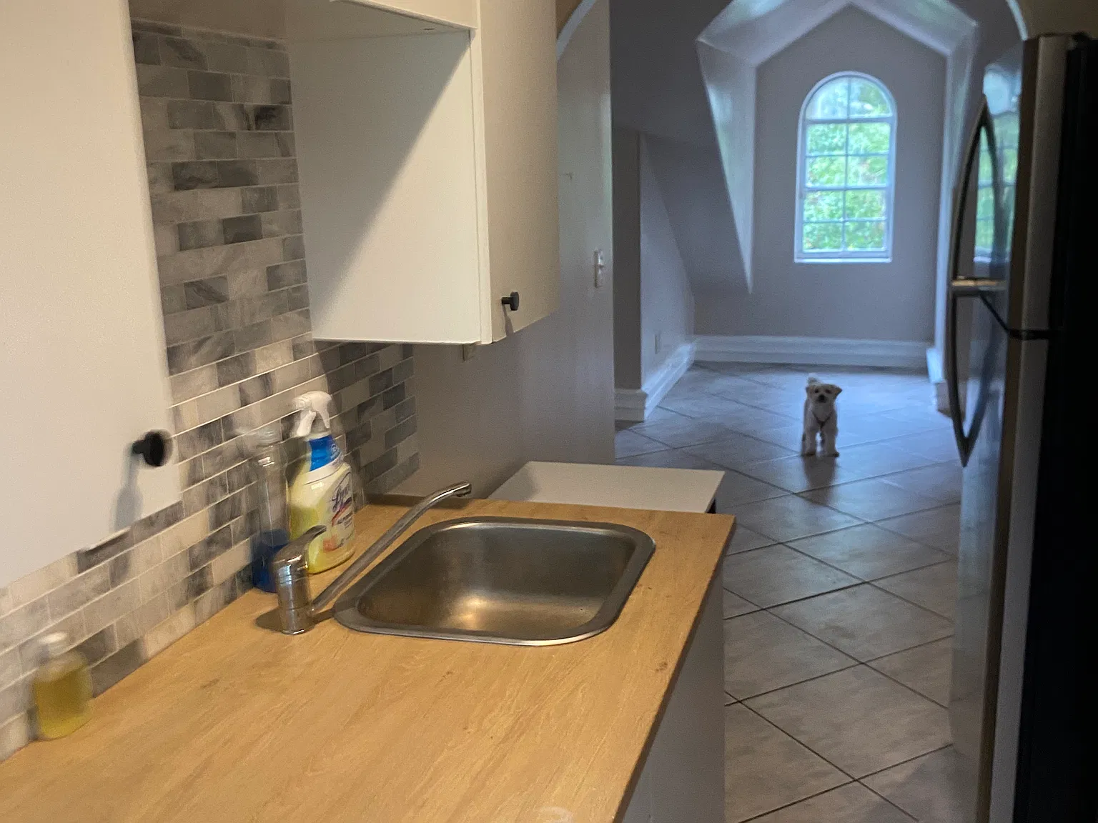 Studio, 900 sqft, $1,500 — Photo 2