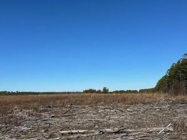 2 50th Ave Tract 2, Gruetli Laager, TN 37339