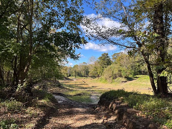 5th image of 0 Cavass Rd