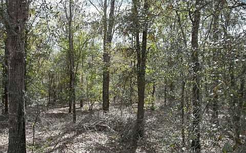 2nd image of Tbd Homestead Cir