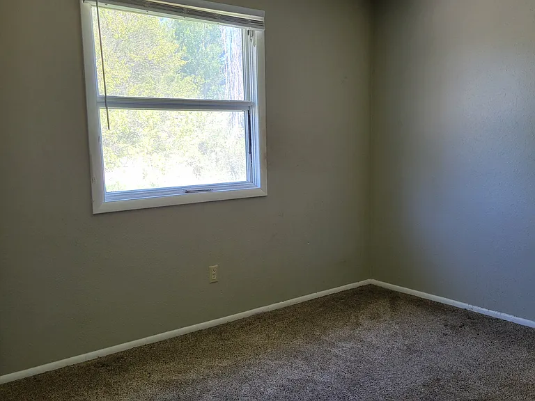 1461 Christensen Dr — Photo 13