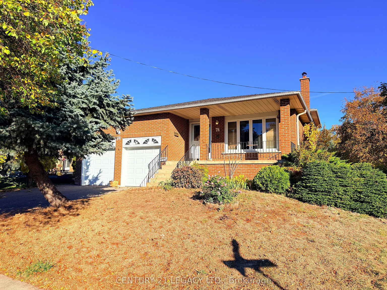 3 bed, $3,150 — Photo 2