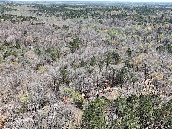 2nd image of Pace Rd