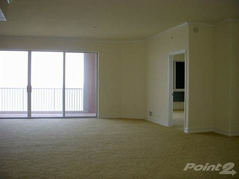 Living View I