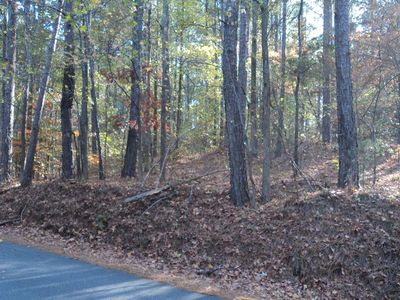 0 Morgan Rd, Ila, GA, 30647