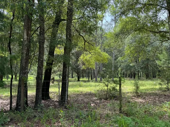 Tbd Sw Scrubtown Rd, Fort White, FL 32038