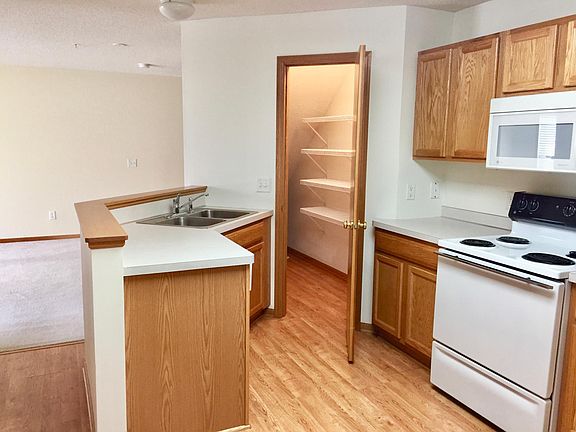 Kitchen and walk-in Pantry