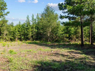 9443 Mistletoe Rd LOT 11, Gilmer, TX, 75644