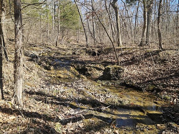 5th image of 000 Velvet Antler Road Road