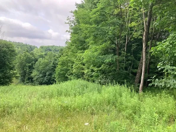 1230 Trim St, Windsor, NY 13865
