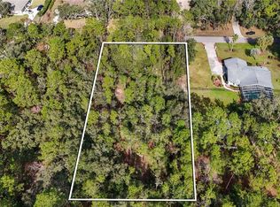 1242 W Redding St, Hernando, FL 34442