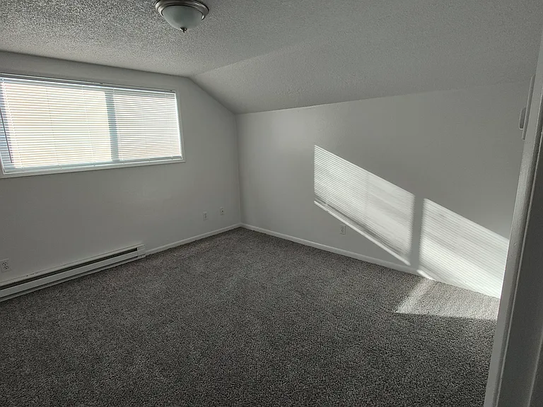 3rd Bedroom - lots of closet space, new light, new window treatment, new paint, and carpet.
