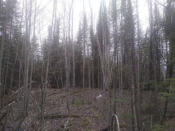 Wood cover behind bldg site