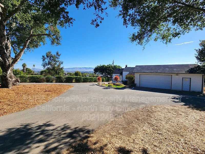2 bed, 1.0 bath, 1250 sqft, $3,500 — Photo 4