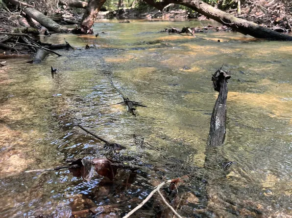 0 Speights Rd, Carson, MS 39427