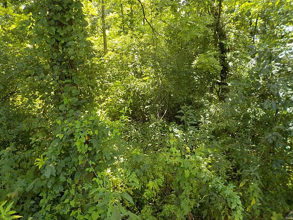 2nd image of 0 E County Rd #457-S