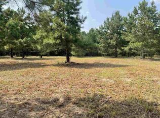 9378 State Highway 210 LOT 3, Four Oaks, NC 27524