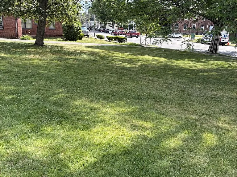 90 Mount Auburn St #1 — Photo 20
