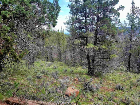 Overland Trl Lot 4, Dorris, CA 96023