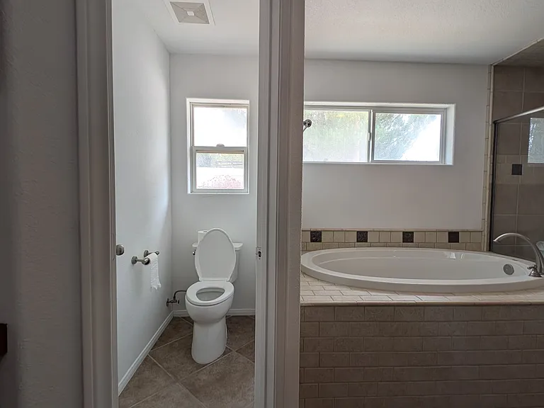 Master bathroom