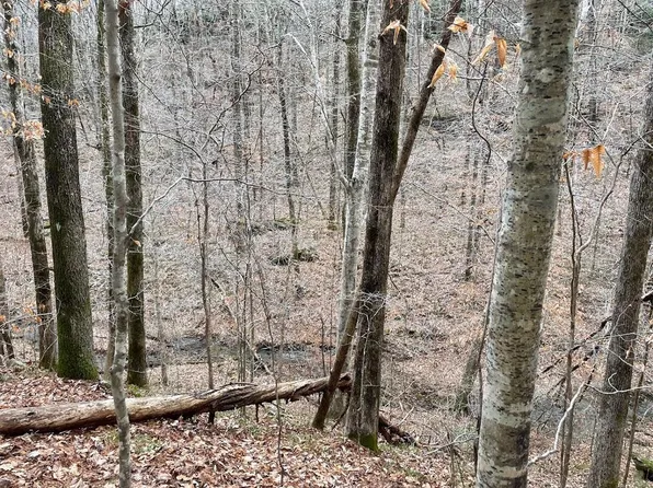 0 Off Of Cres #61, Arley, AL 35541