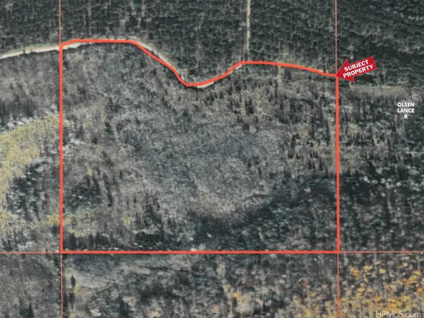 Gustafson Rd Parcel C, Vulcan, MI 49892